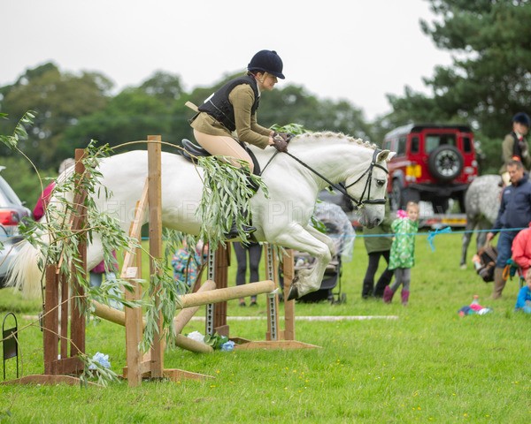 Dunblane show-360 - Dunblane and Doune Show Ring 1