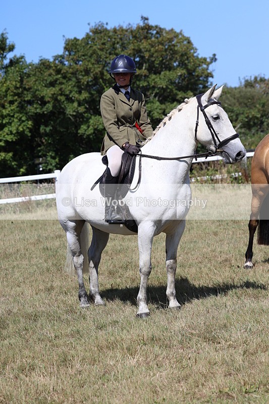 3E7A6460 - Working Hunter Championship
