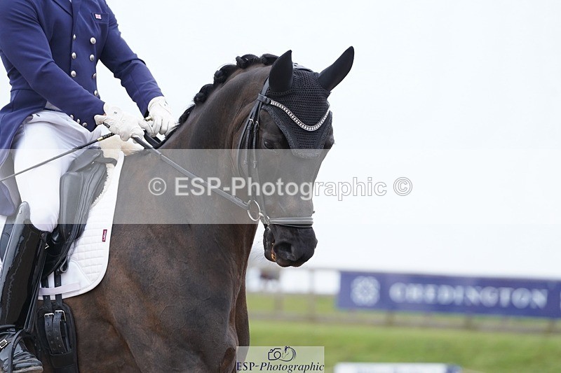 250403-154456-03162 - 023-Davy.Harvey-Diamond.Blue