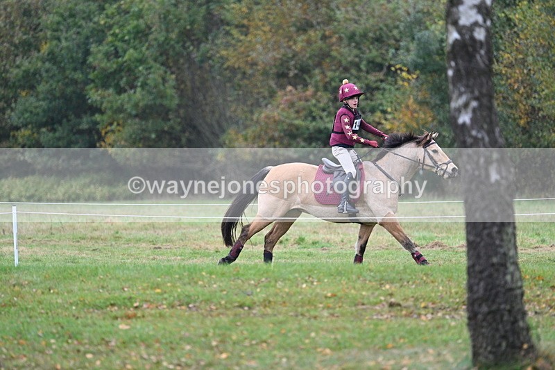 WJ7_1057 - 80cm Cam 2 Water Time 11:29 to 11:46