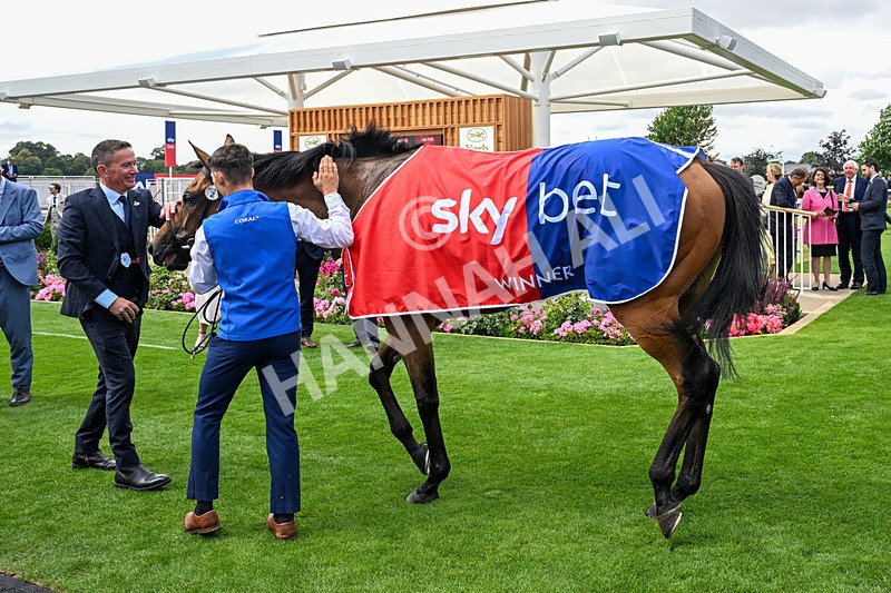 250726-Race 2-Stratusnine-0213 - Race 2 14.00pm Sky Bet Dash