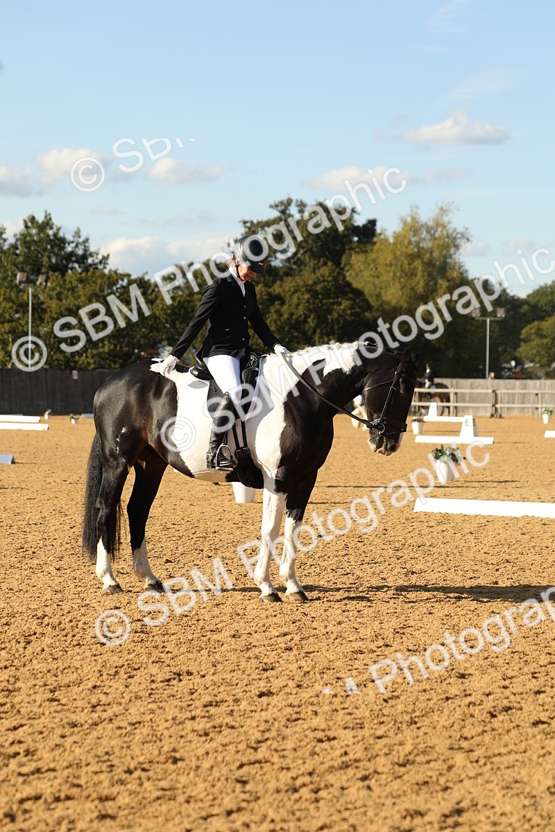 SBM_28554 - D20 - Grand Tour Championship - Elementary 44