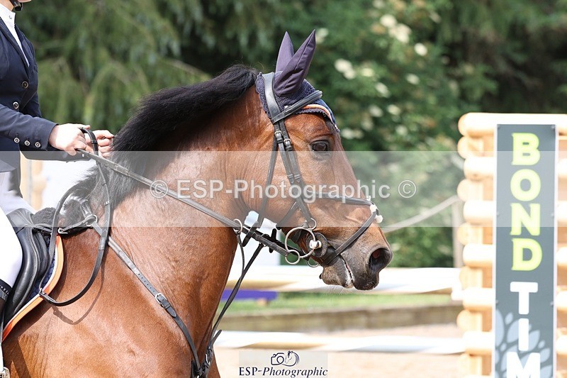 230617-100550-01018 - Cls 08a Pony 1.05