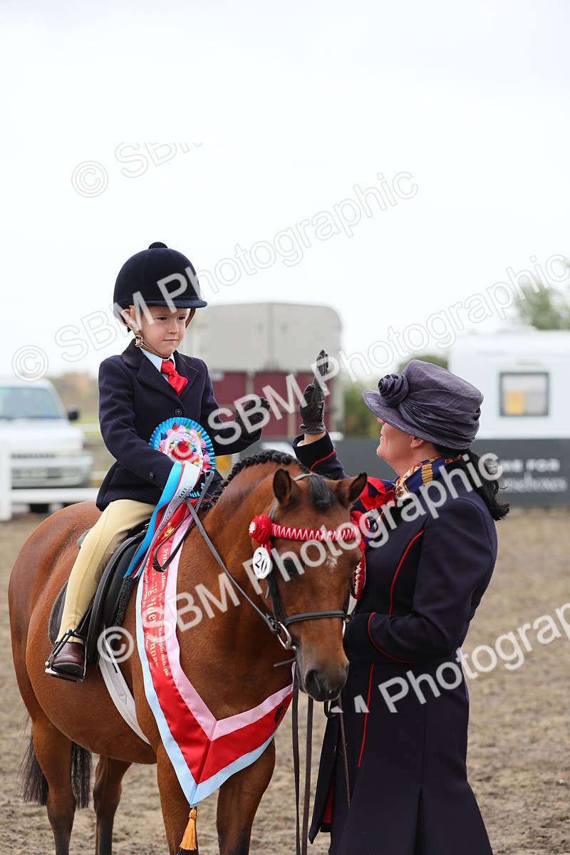 SBM_21872 - Class 806 - Young ridder 10 Yr & Under
