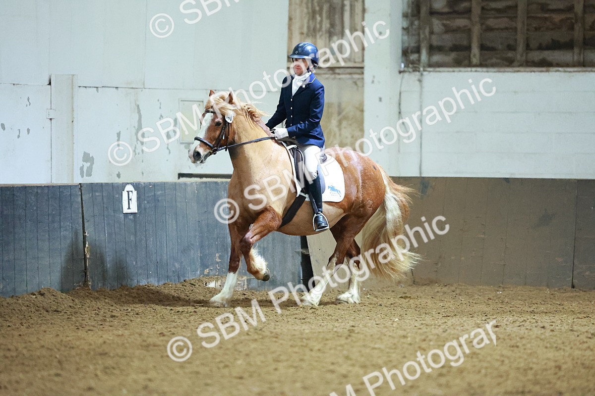 SBM_003657 - Novice 2