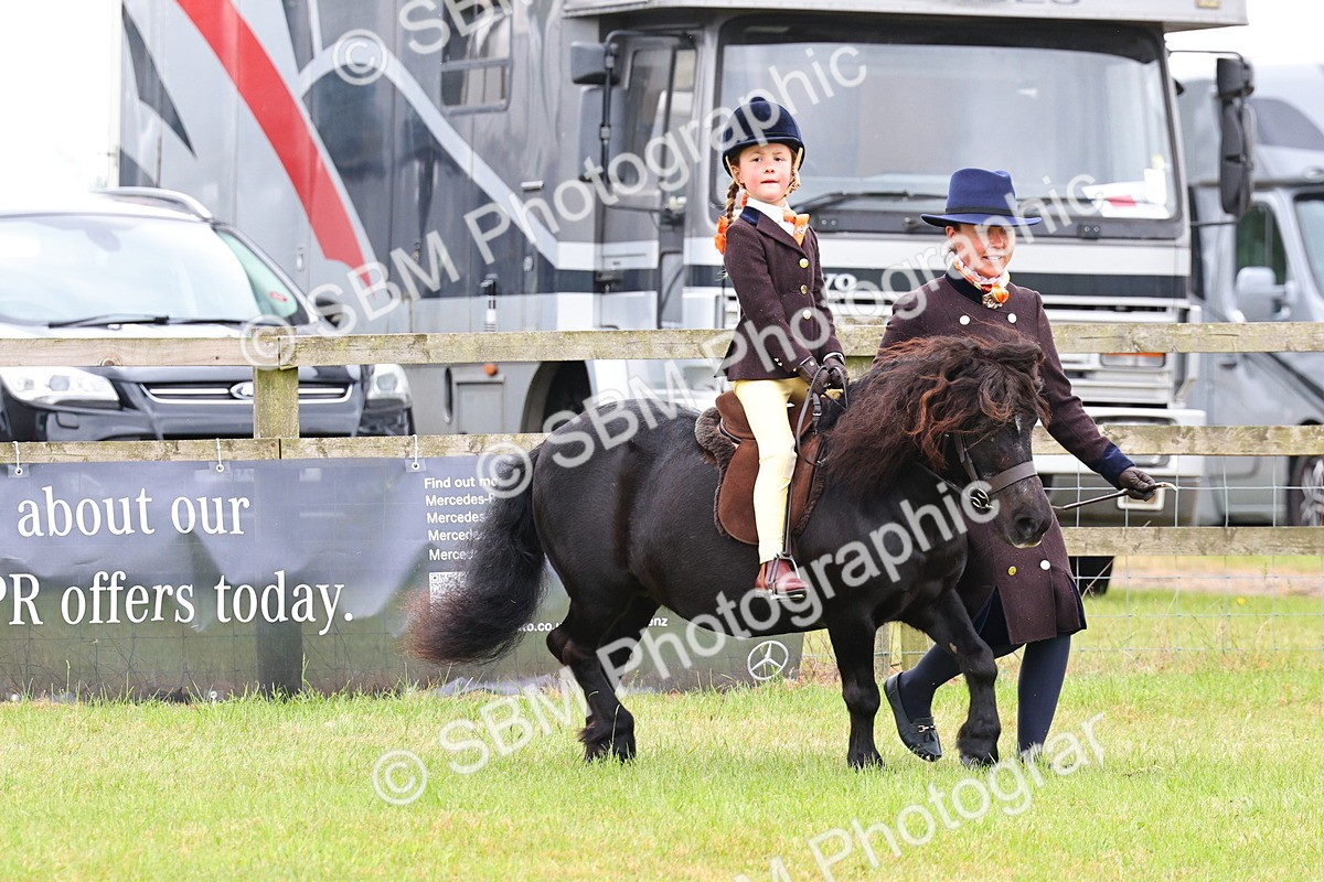 SBM_08151 - Class 42-43 - LIHS BSPS Heritage Working Sports Pony