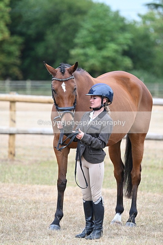 WJ7_9922 - Class 5a Most Handsome Gelding (above 14.2hh)