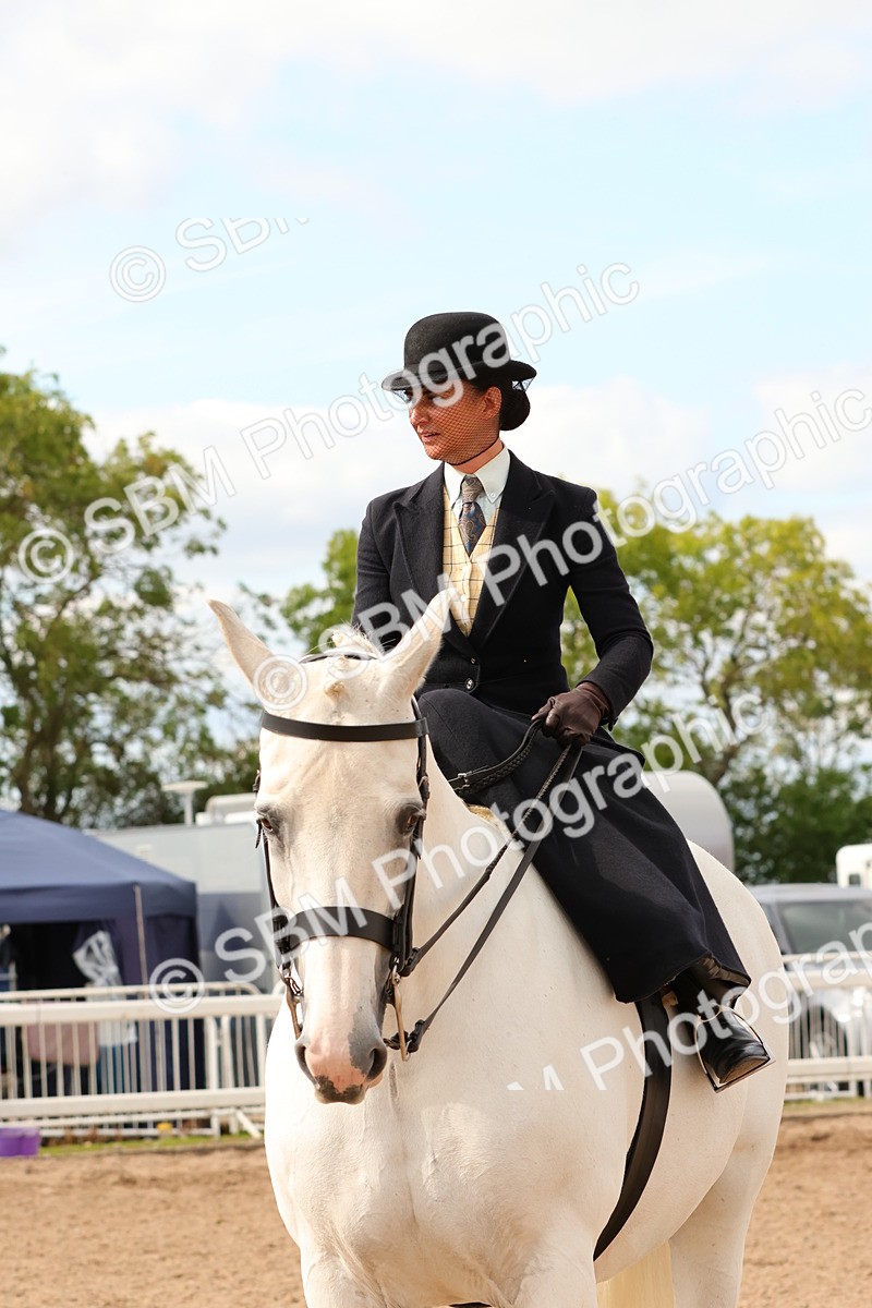 SBM_15889 - Class 216 - Best Side Saddle Horse-Pony