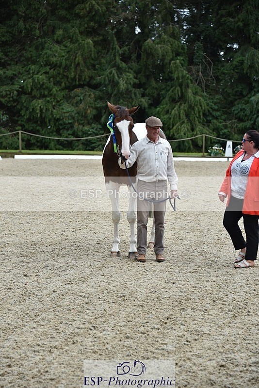 230812-144722-04851 - Novice Silver Presentations