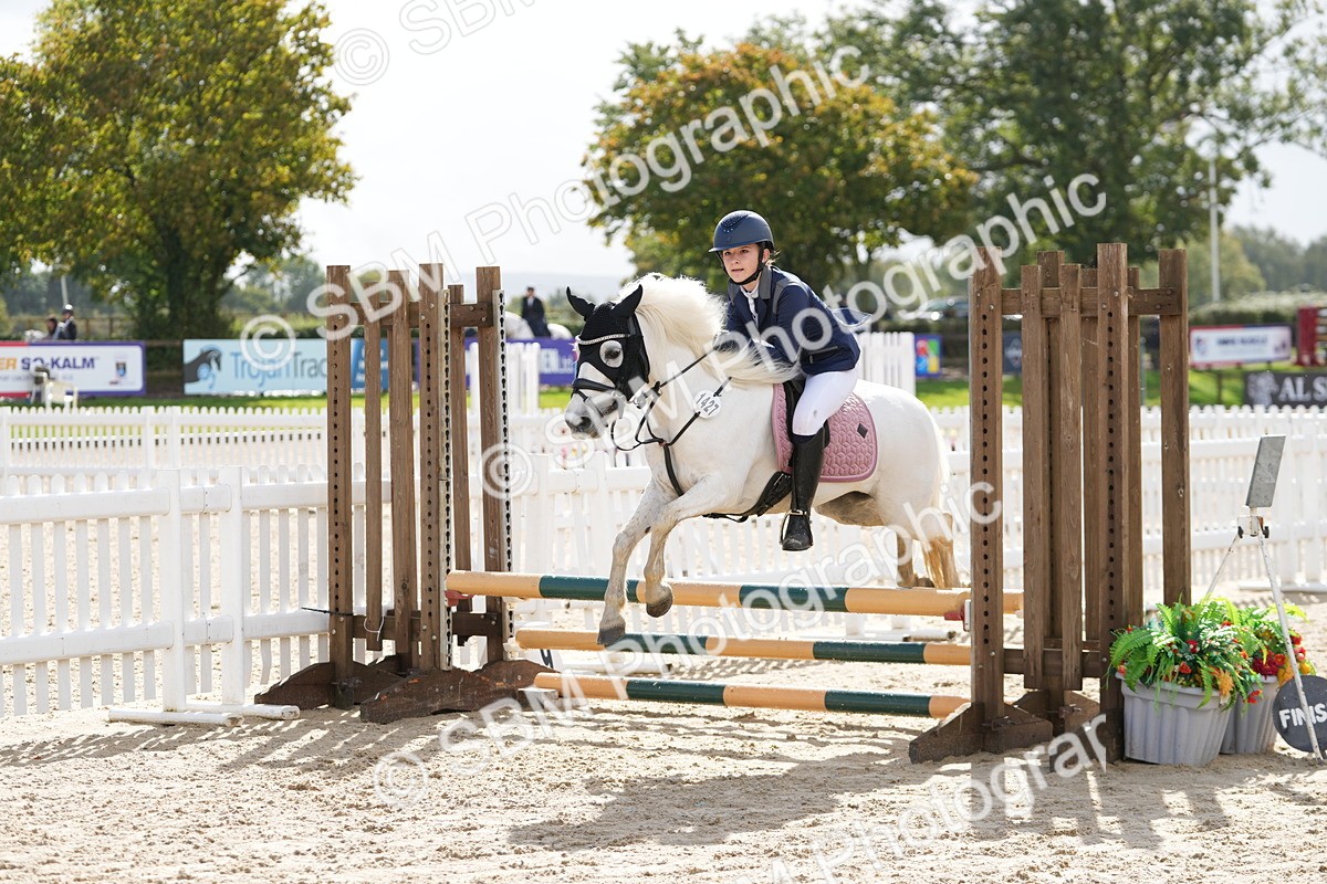 SBM_39602 - J6 - Junior Pony 55cm Championship