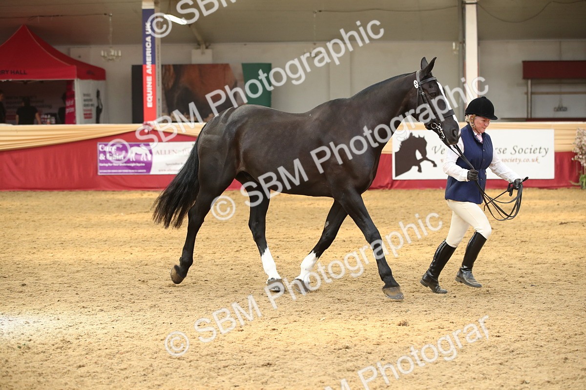 SBM_05352 - Class 8R - Regional IH Veteran