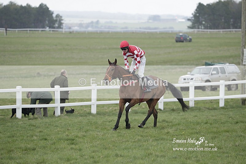 PtP 260323 0611 - New Forest Hounds Point-to-Point Larkhill 26/03/23