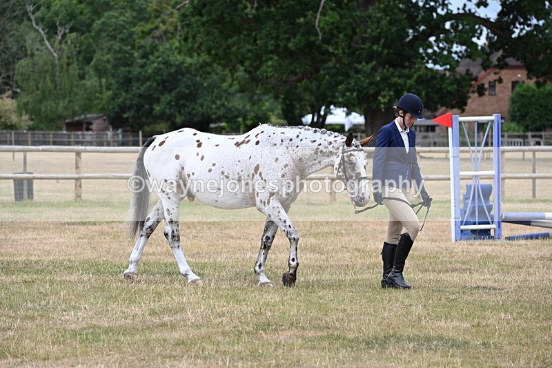 WJ6_4574 - Class 10 Coloured In-hand