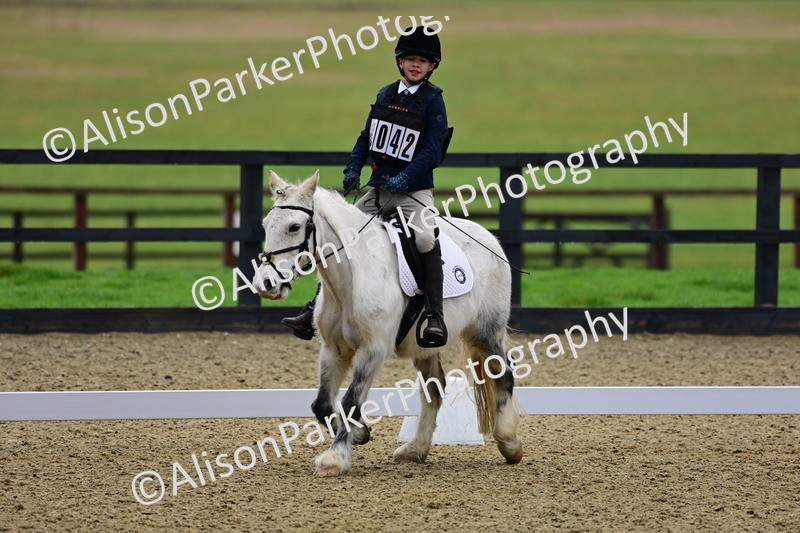 20260125-0524 - Class 9b - Walk Trot Unassisted