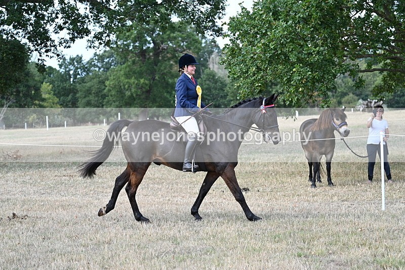 WJ7_6396 - Class 13 Ridden Veterans