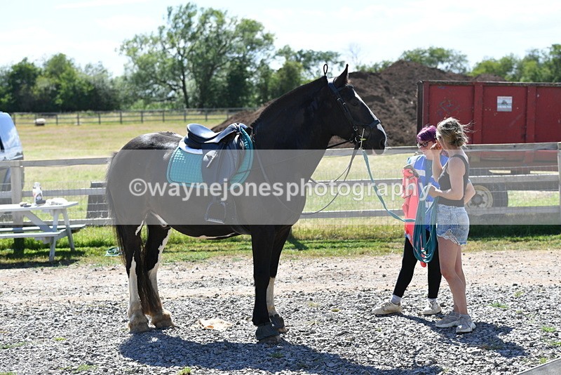 WJ5_4876 - Poles on the Floor