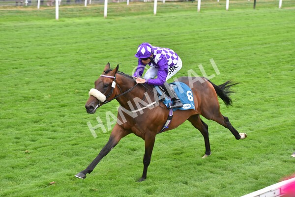 yr22072022r4-42 - Race 4 6.50pm The IRE Incentive It Pays To Buy Irish EBF Restricted Novice Stakes