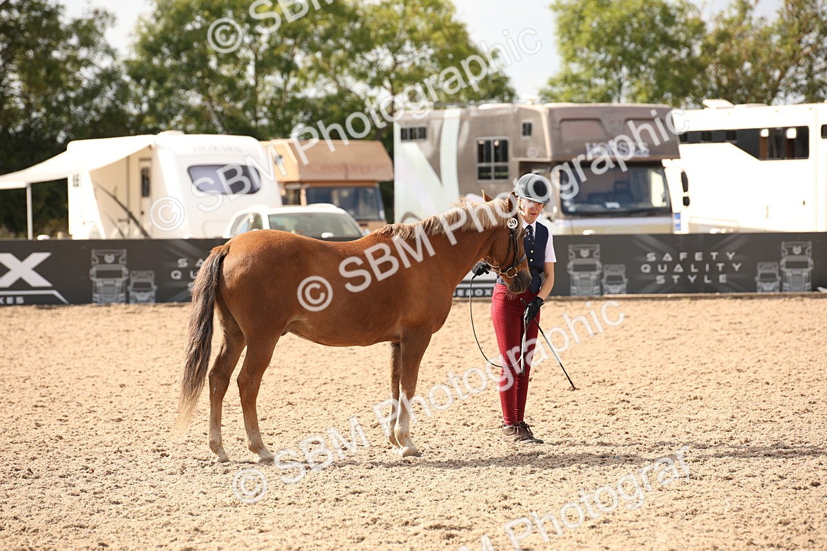 SBM_08139 - Class 27 - IH Competition Horse-Pony