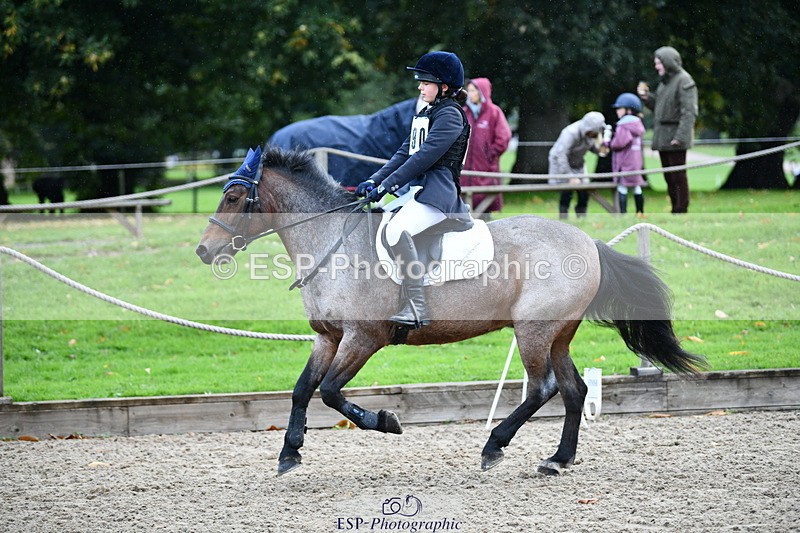 251004A-101046-00385 - Classes 1-2-3 40cm