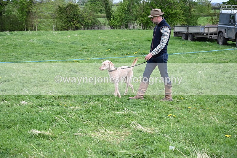 WJ6_8107 - Class 2 Best Pedigree