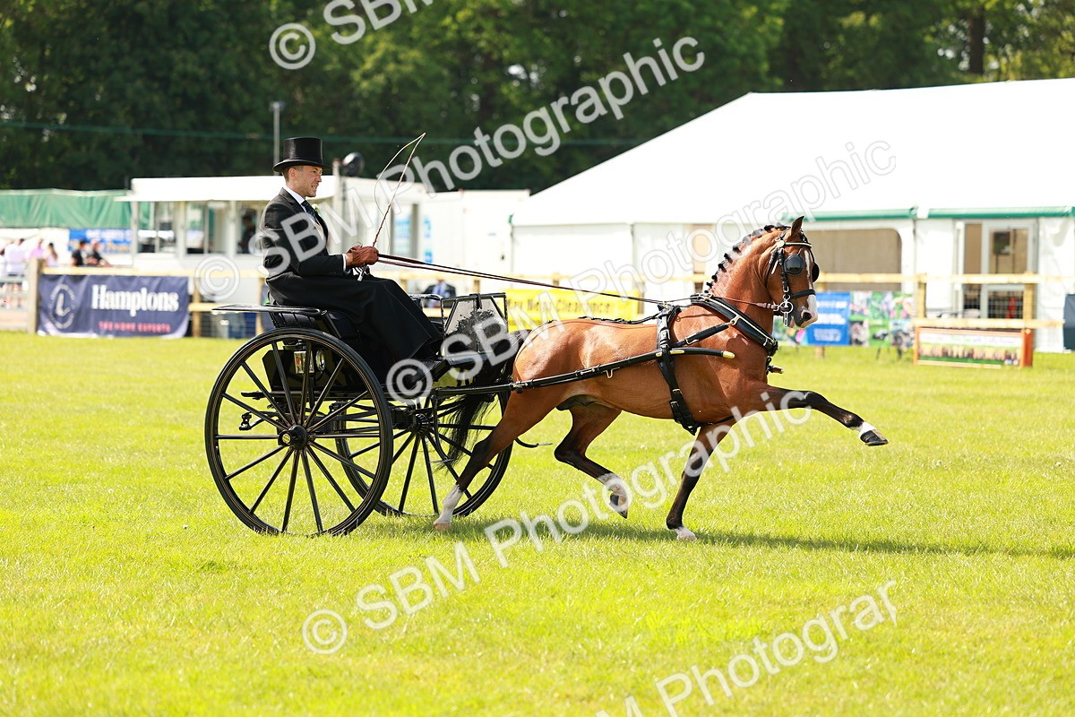 SBM_02685 - Class 2-4 - HOYS Private Driving