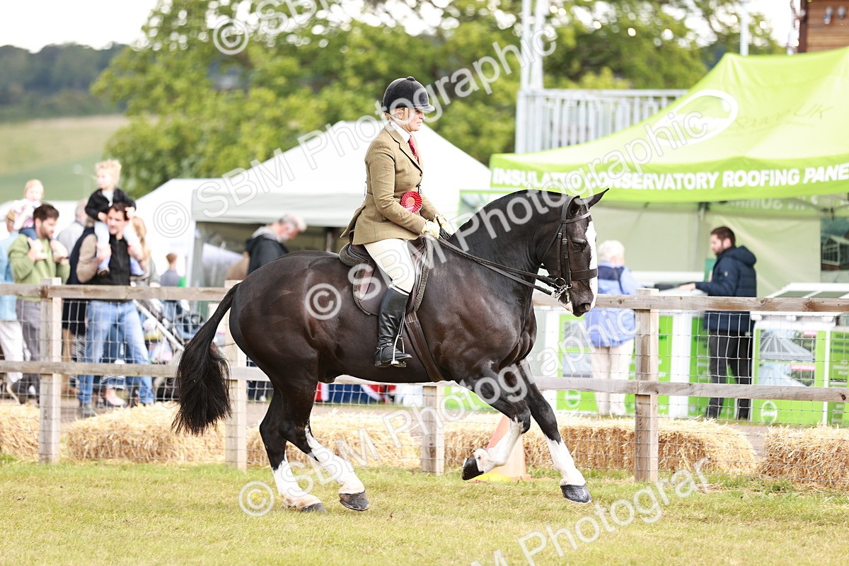 SBM_13153 - Class 85-87 - RIHS Cobs