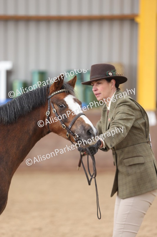 20251109-0656 - Class 22 - Geldings 4 Years and over