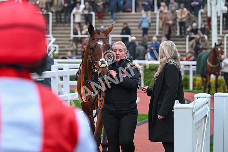 151124-Race 5-Paddock-Grandads Cap-8348 - Race 5