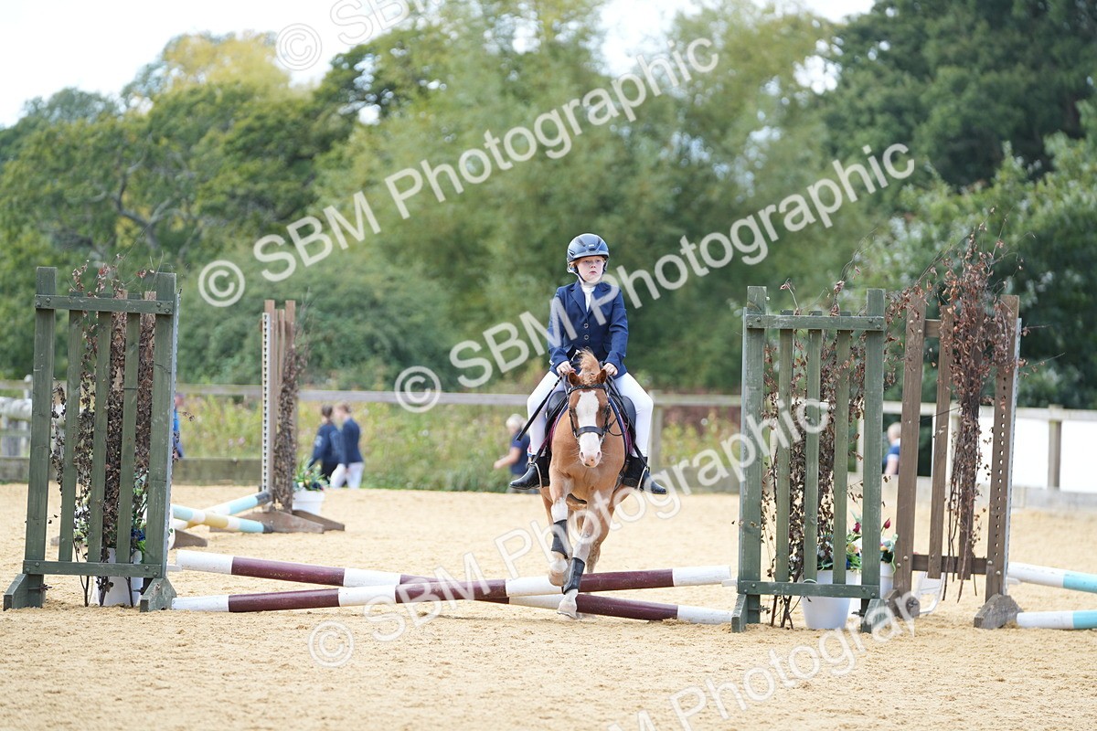 SBM_64387 - J2 - Mini Tour Junior Pony 30cm Championship