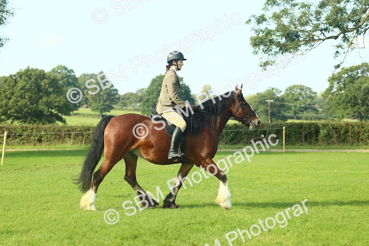SBM_59824 - S38 - Starters Ridden Showing