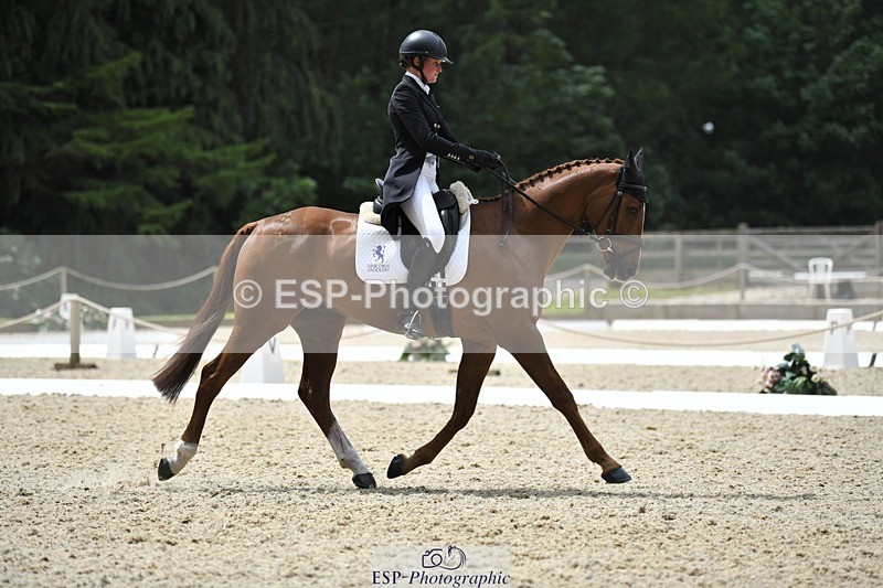 230525-130050-02076 - 113-I'M_A_WONDER-Rosie_Fry-WEDTrotUp+DR