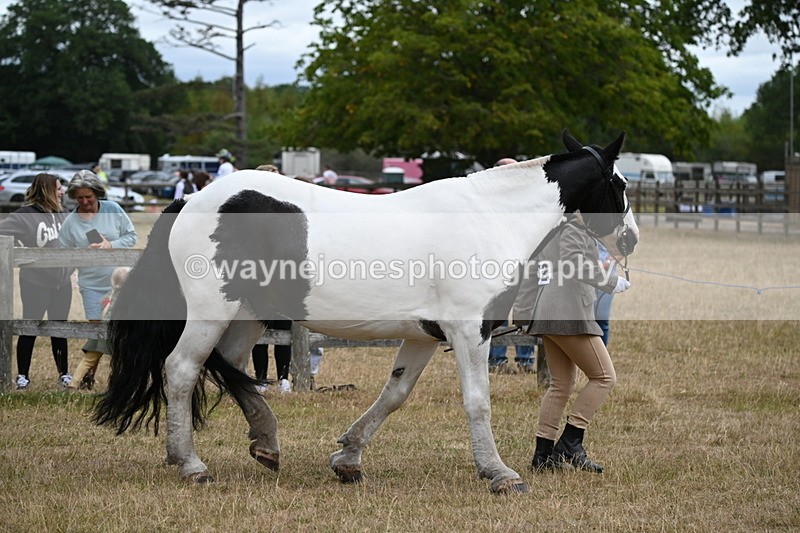 WJ6_8374 - Class 10 Coloured in Hand