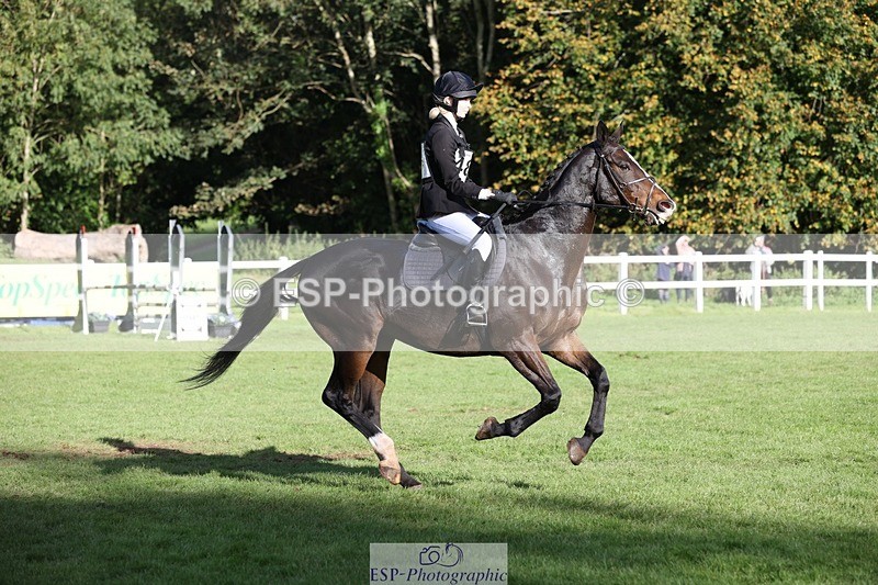 231022-145630-29531 - 489-MY.GALWAY.MAN-Daisy.Hood-TrotUp+SJ