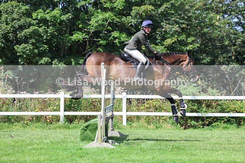 3E7A8913 - Class 6: Open Working Horse