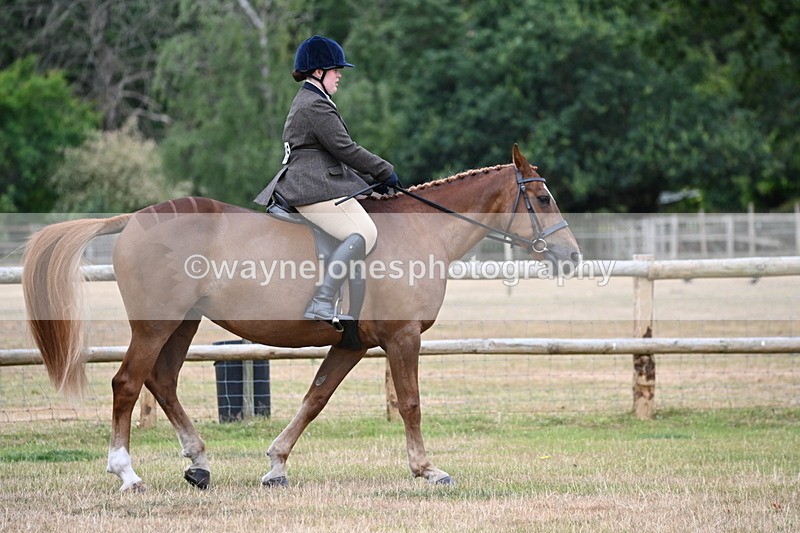 WJ6_3708 - Class 9 Tack & Turnout