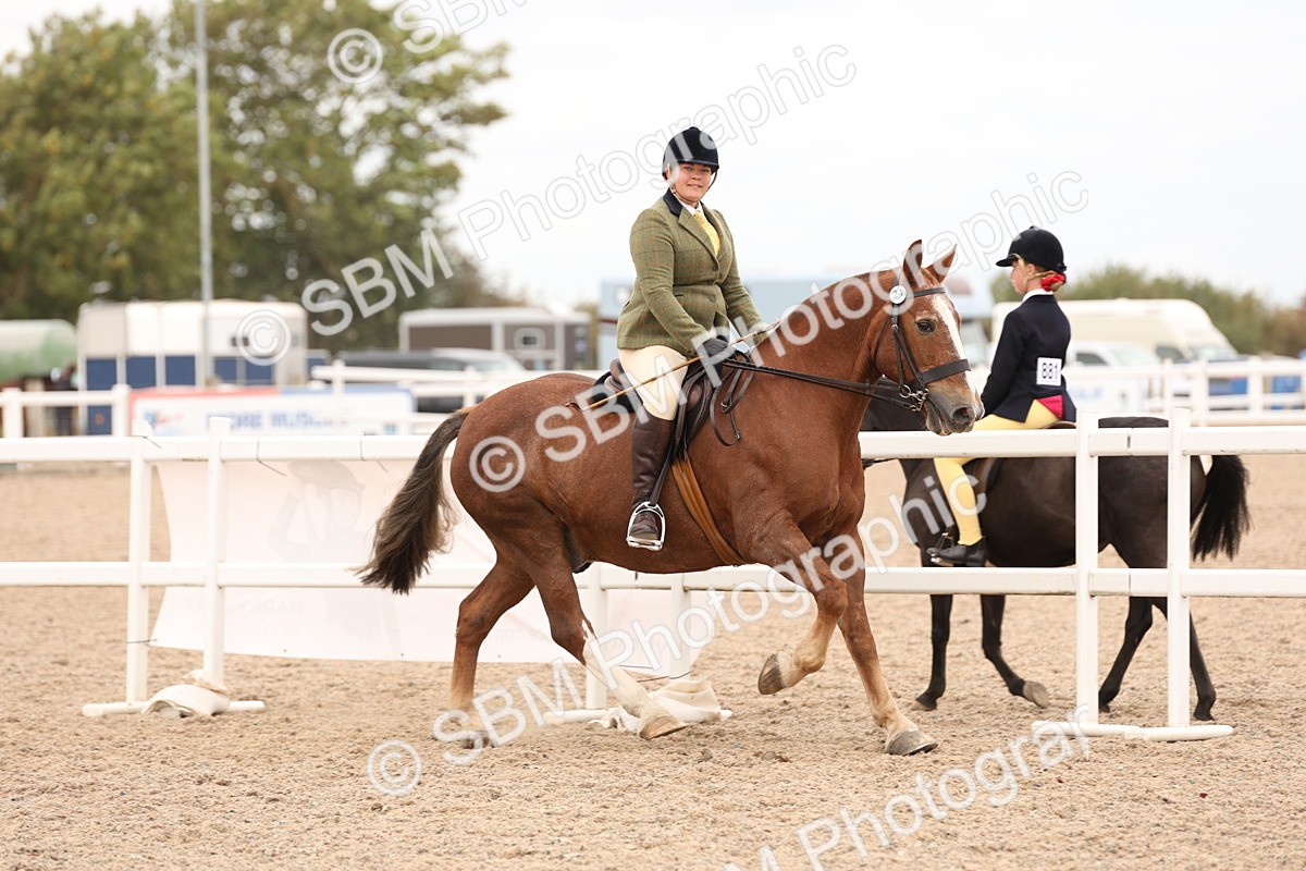 SBM_19529 - Class 215 - Ridden Show cob