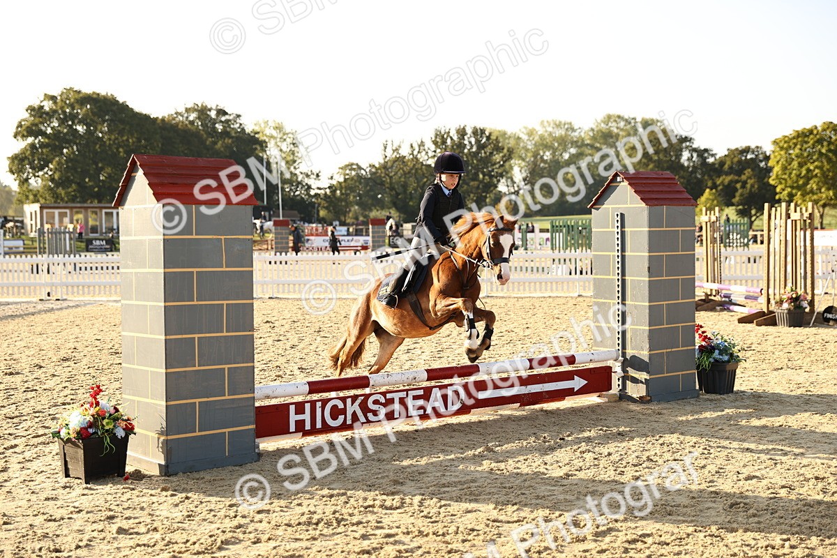 SBM_57268 - J11 - Junior Pony 50cm Championship