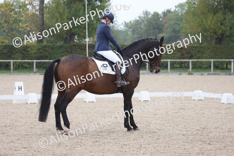 20251012-0751 - Class 6 - Elementary 6