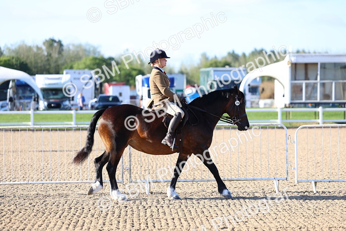 SBM_08704 - Class 302 - Ridden M&M - Large Breeds