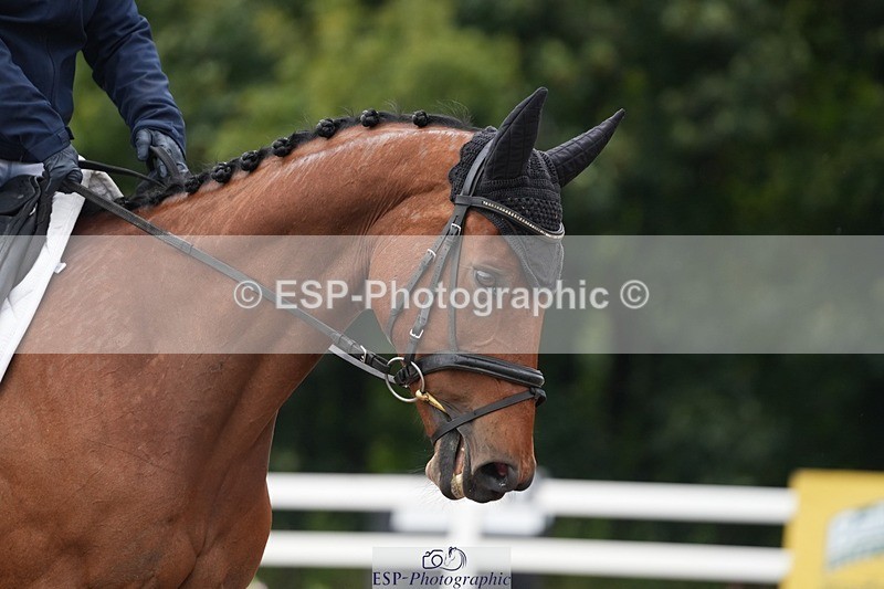 250907-104020-05861 - 042-Ana.HughesBallycahane.Billy