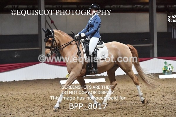 BPP_8017 - MED TEST 4