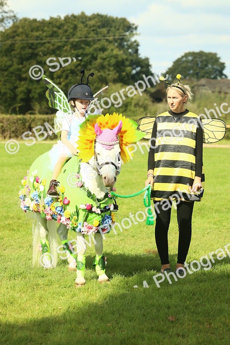 SBM_63526 - S35 - Fancy Dress Showing