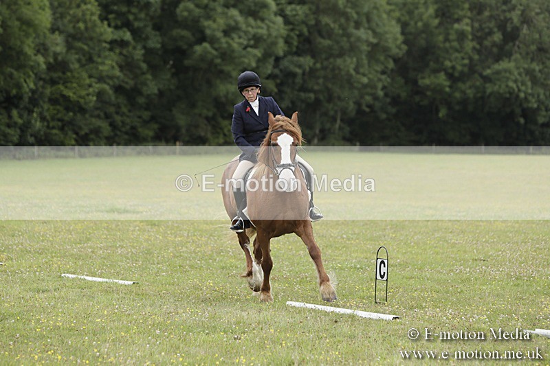 BVR160717-1235 - Class 2 Dressage 16/07/17