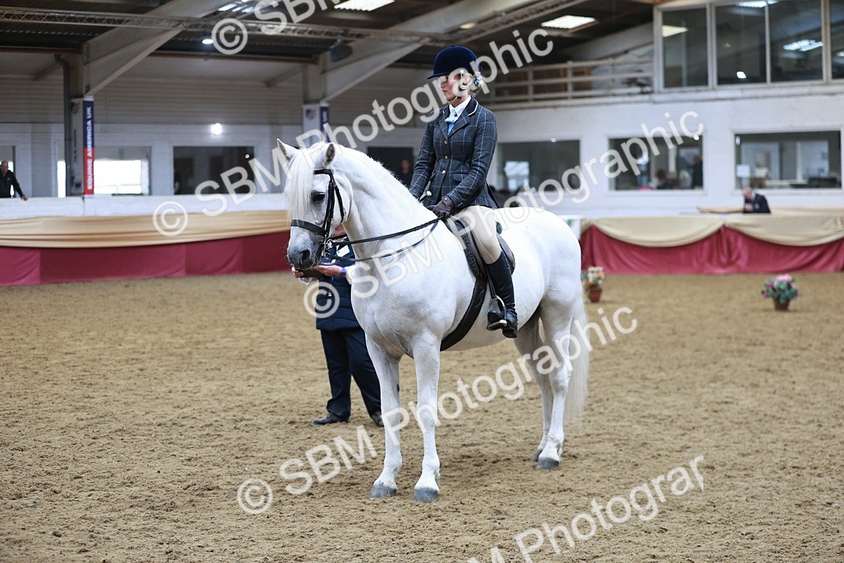 SBM_08890 - Class 12R - Regional Ridden Pre-Vet