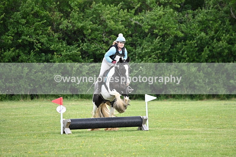 WJ6_2409 - Class 2 40cm