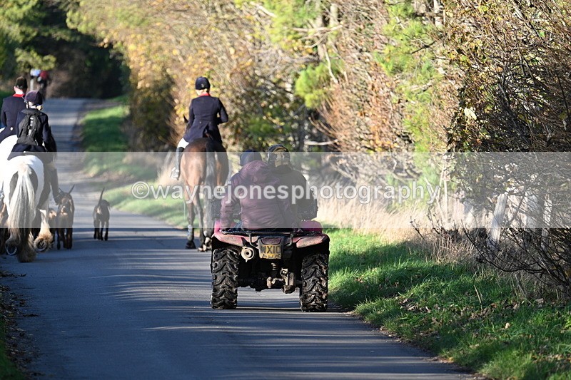 WJ7_8660 - Walk Home