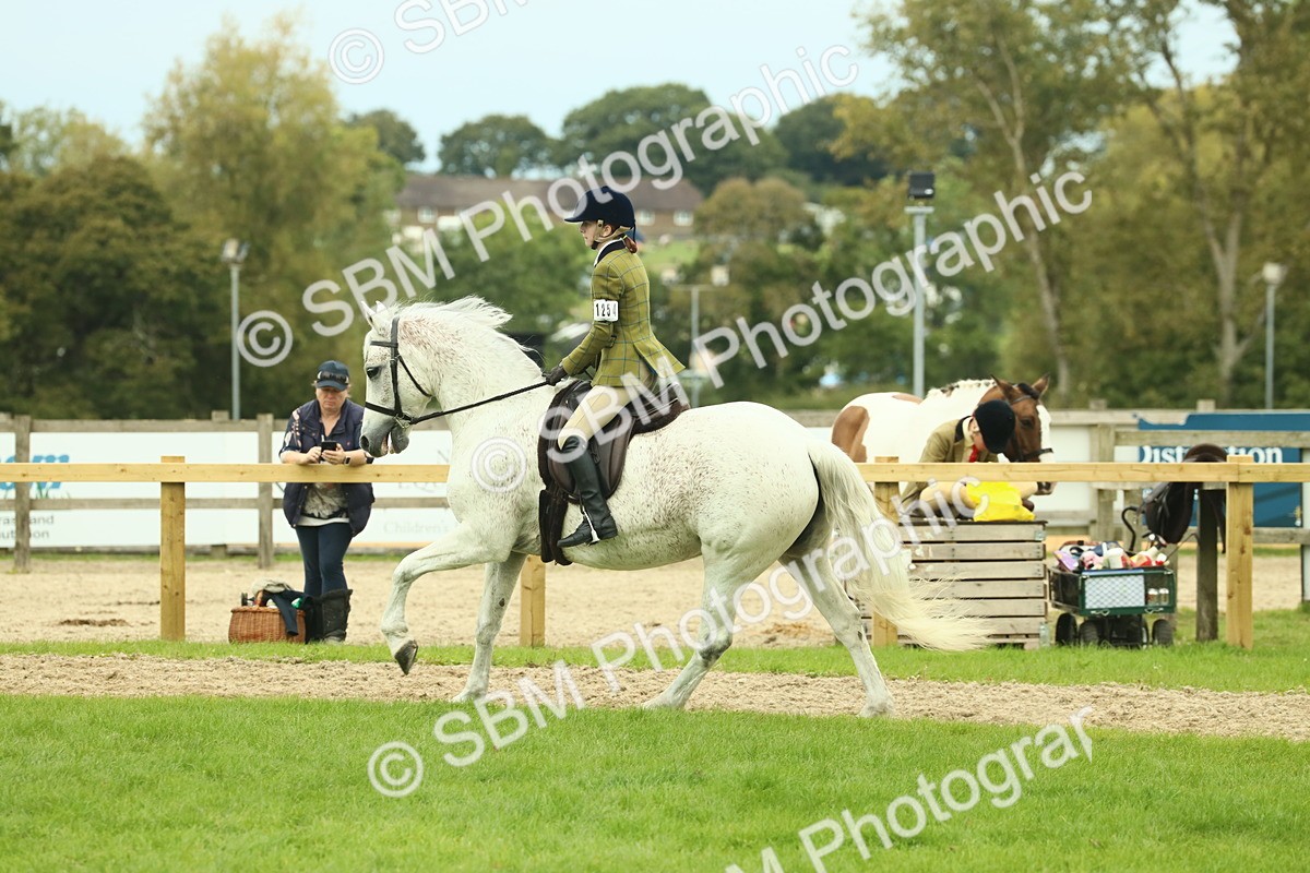 SBM_72052 - S60 - Mountain & Moorland Ridden Large Breeds