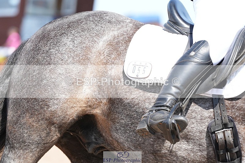 250817-142736-10960 - 055-Neve.HollowaySD.Out.of.the.Blue