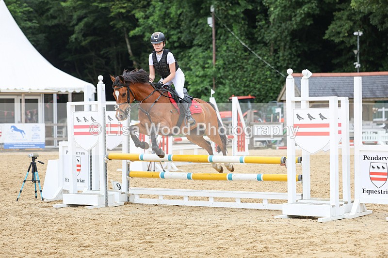 3E7A6875 - Class 13: Pony British Noise/80cm open