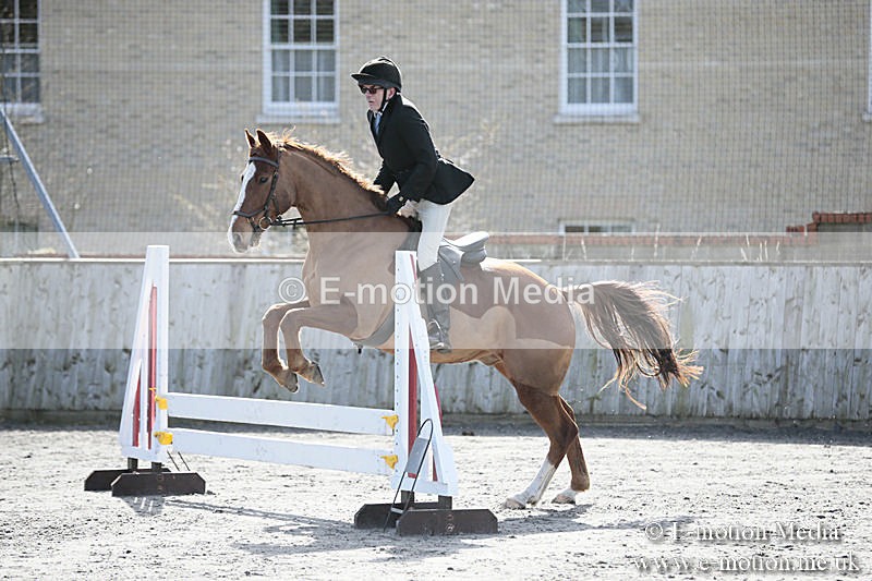 BVRC SJ 170319 241 - Bourne Valley Riding Club Showjumping 17/03/19